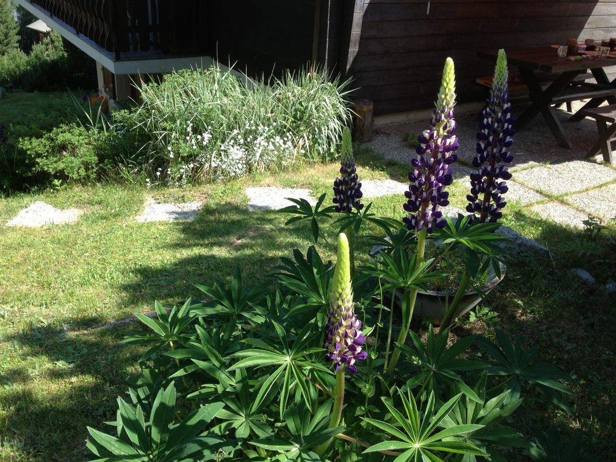 Ferienwohnung Im Chalet Firn - Og Burchen ภายนอก รูปภาพ